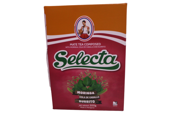Yerba mate moringa